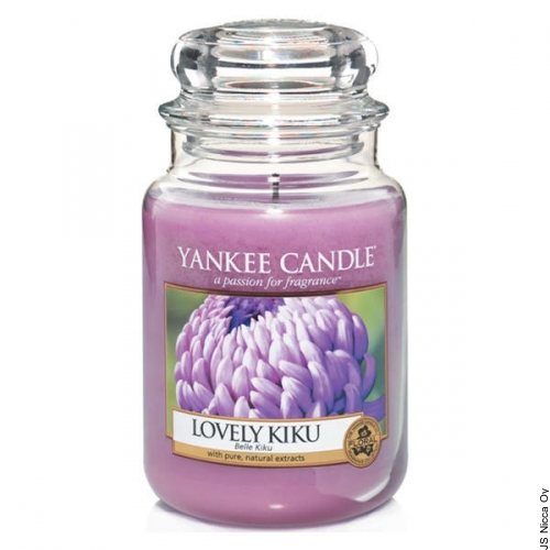 Willy Behrend Istuinsuoja pestävä 40x50cm ruskea Puna