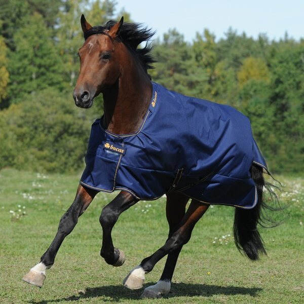ORTO Irish Turnout Light